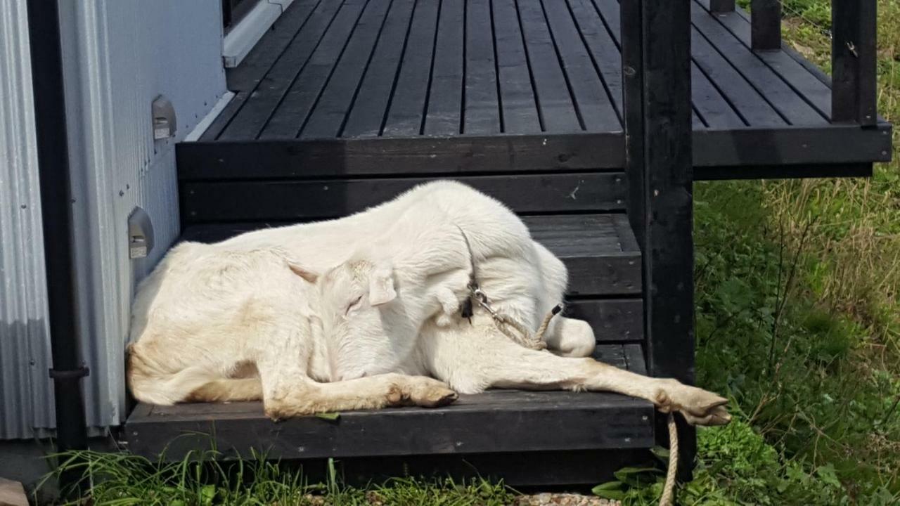 Asobi Lodge Kyotango Eksteriør bilde